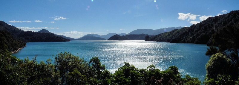 E (45) Kenepuru Sound.jpg